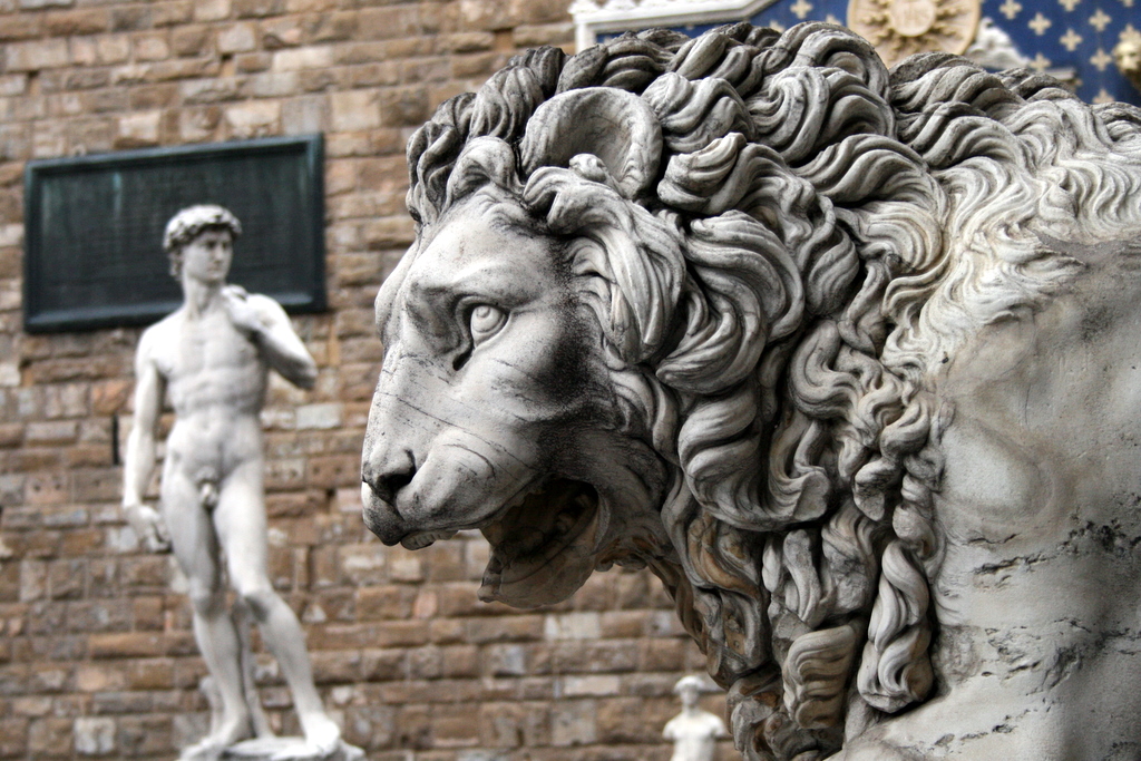 Florence_David